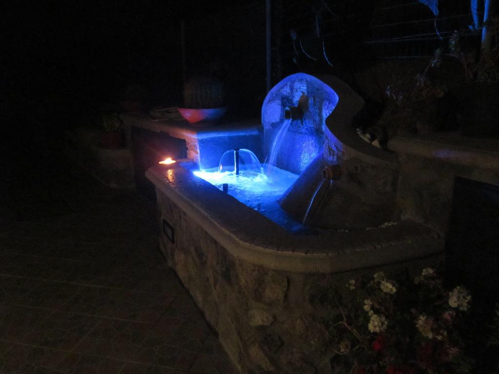 Villa Flora Ischia Bagian luar foto